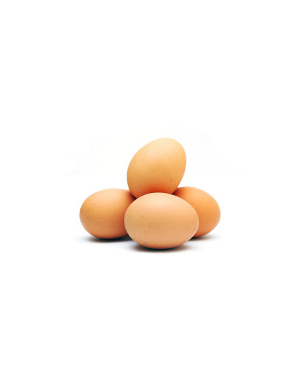 Vajcia z voľného výbehu XL10ks